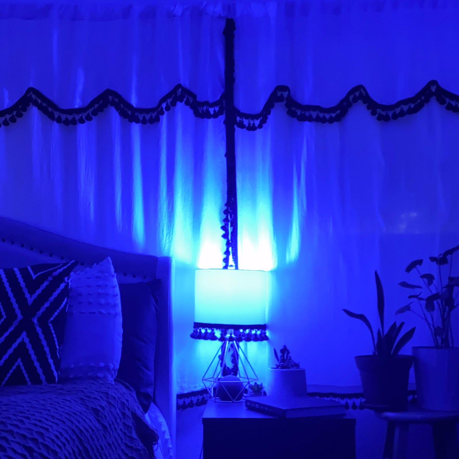 4.5W A19 Blue LED Filament Light Bulb