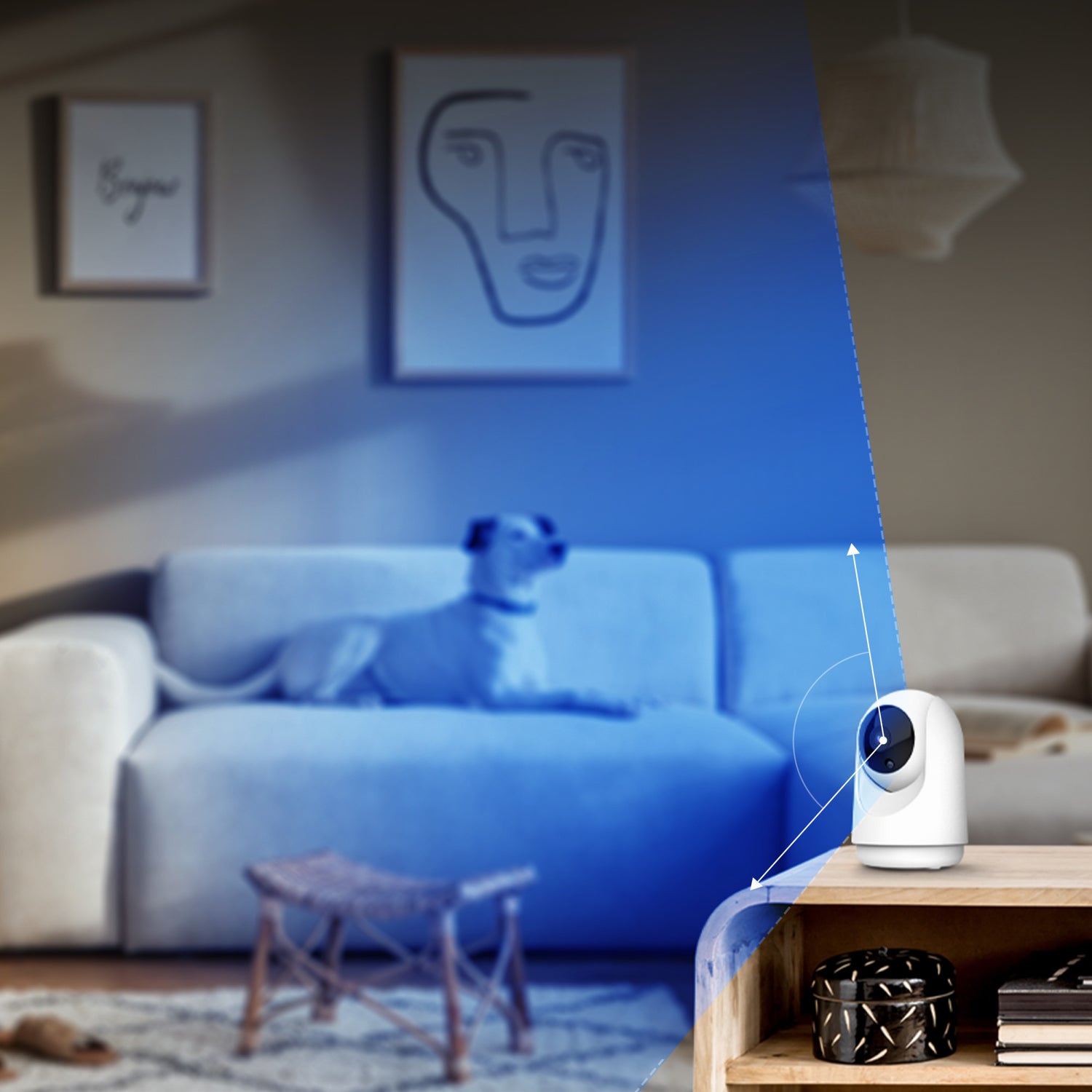Smart Indoor Pan and Tilt Camera