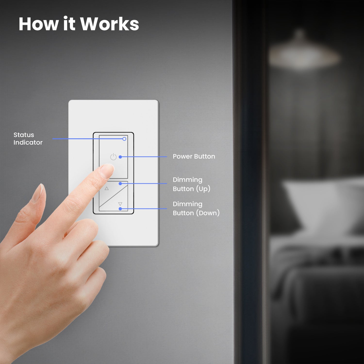 Dimmer Switch Remote