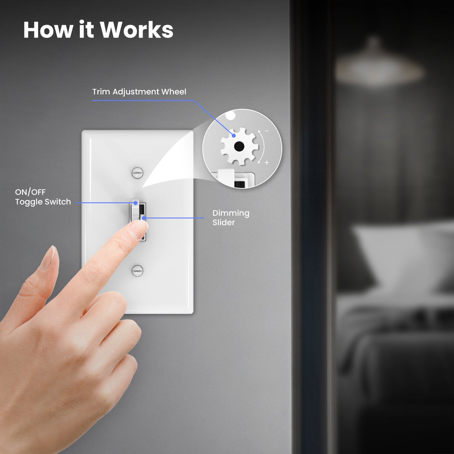 Light Switch with Dimmer (2-Pack)