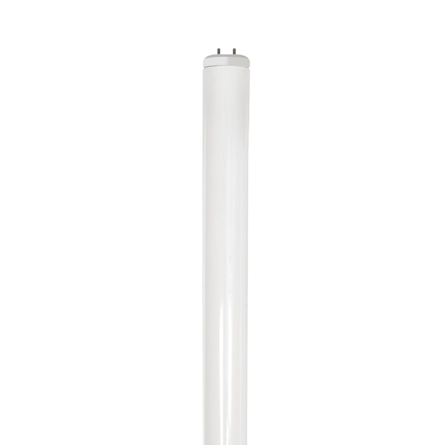 4 ft. 32W Daylight (5000K) T8 G13 Base High Output Fluorescent Linear Tube (2-Pack)