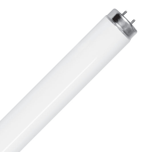 4 ft. 40W Cool White (4100K) G13 Base (T12 Replacement) Fluorescent Linear Light Tube (10-Pack)