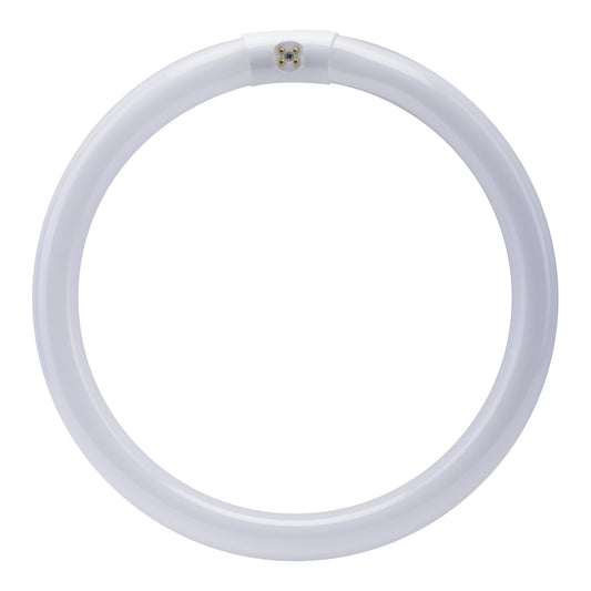 12 in. 32W Cool White (4100K) 4-Pin (T9 Replacement) Fluorescent Circular Light Tube