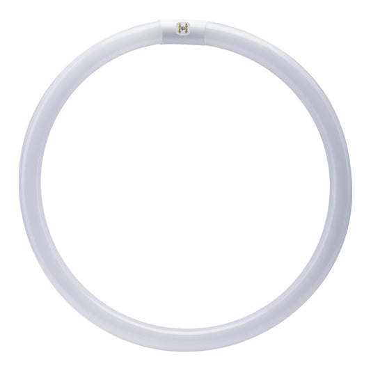 16 in. 40W Cool White (4100K) 4-Pin (T9 Replacement) Fluorescent Circular Light Tube