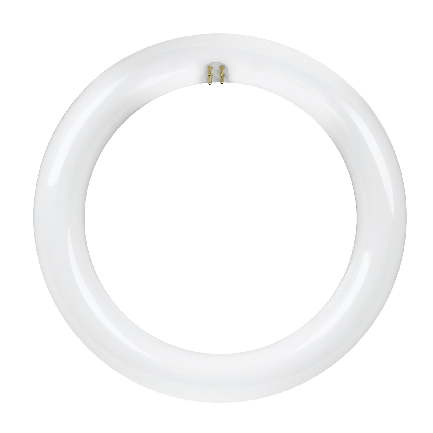 15W (22W Replacement) Cool White (4100K) T9 Direct Replacement (Type A) Circular LED Light Bulb
