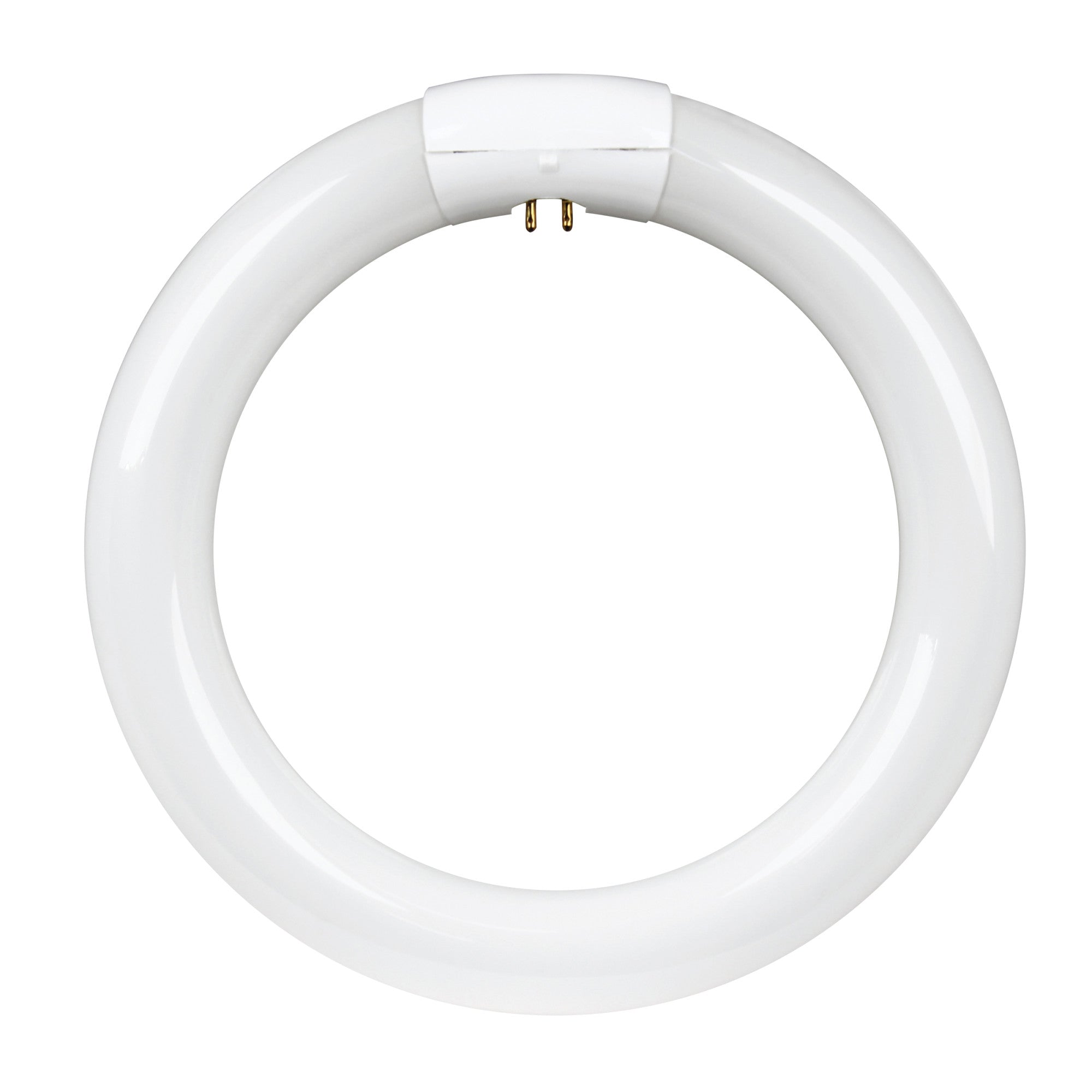 8 in. 22W Cool White (4100K) 4-Pin (T9 Replacement) Fluorescent 