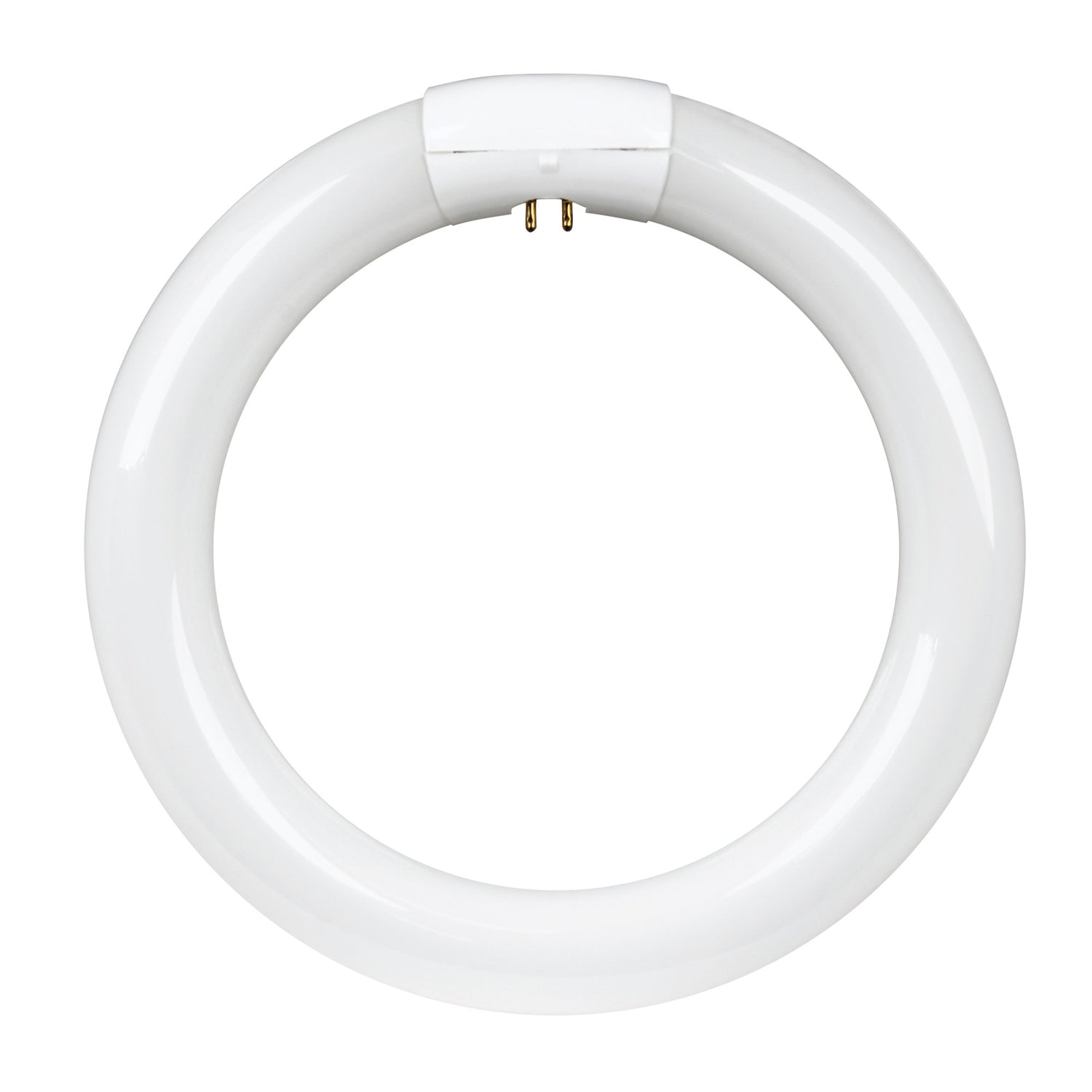 8 in. 22W Cool White (4100K) 4-Pin (T9 Replacement) Fluorescent Circular Light Tube