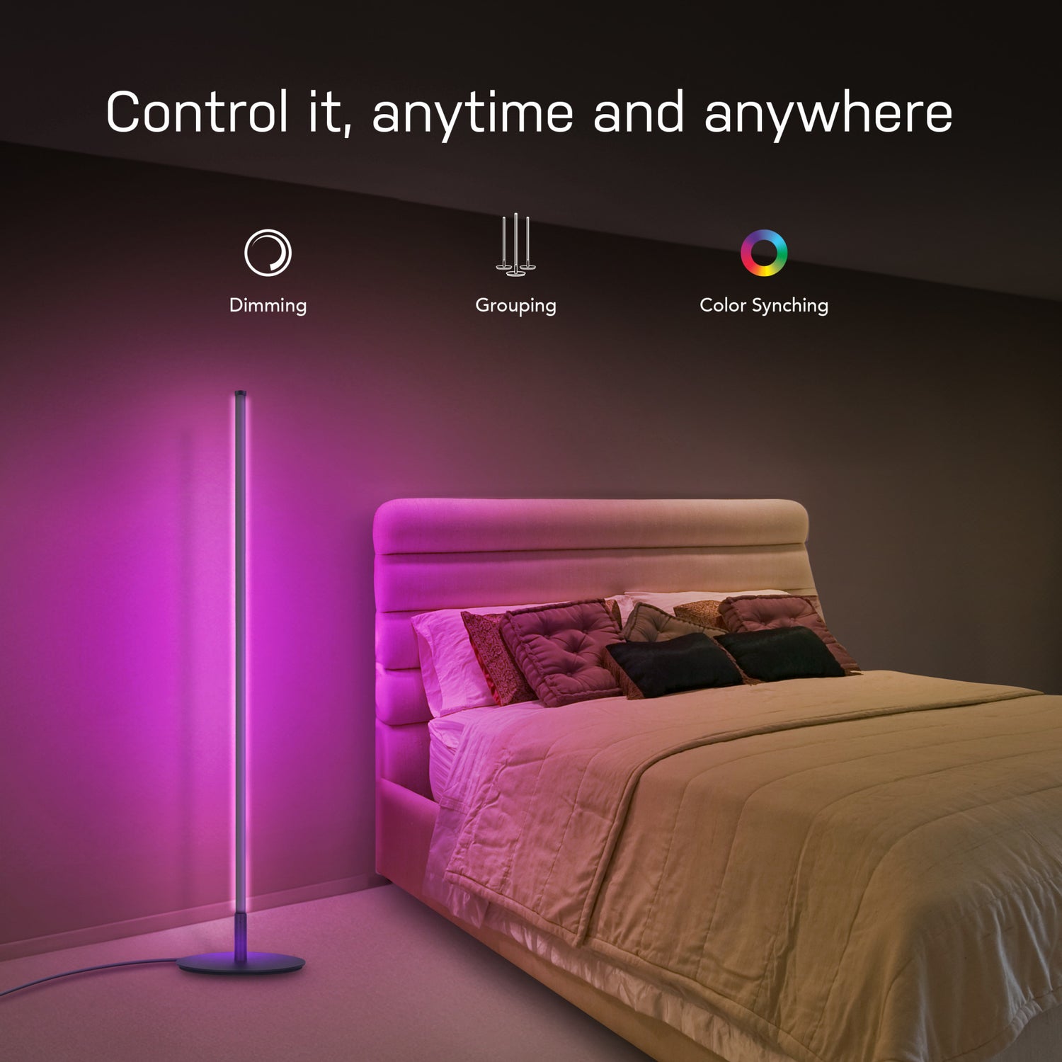 42 in. RGB Smart Wi-Fi LED Floor Lamp with Music Sync Alexa Google
