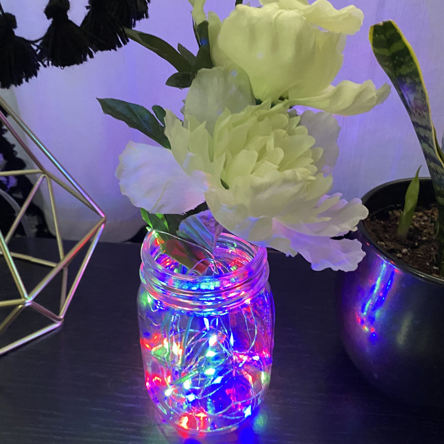 10 ft. Multicolor Silver Wire Fairy String Light