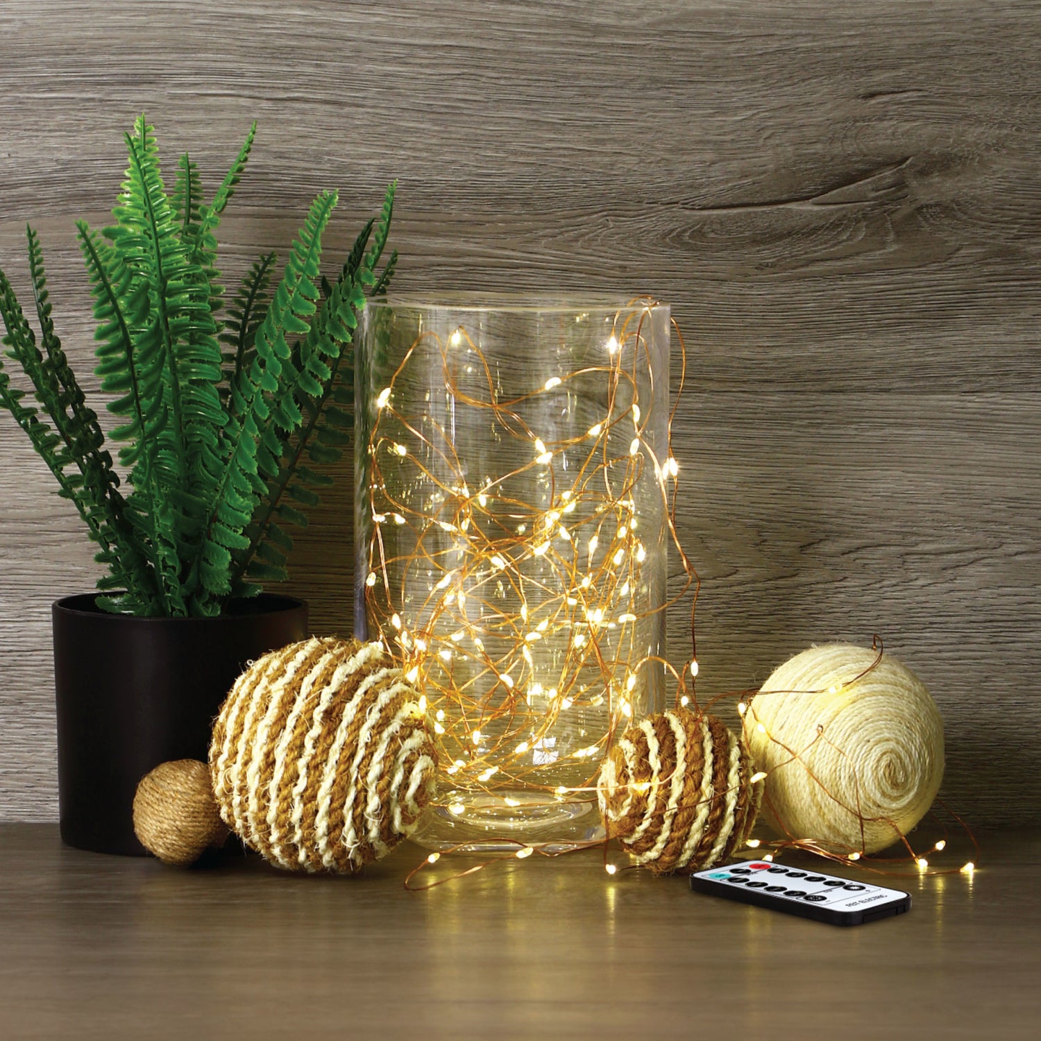 30 ft. Copper Wire Fairy String Light