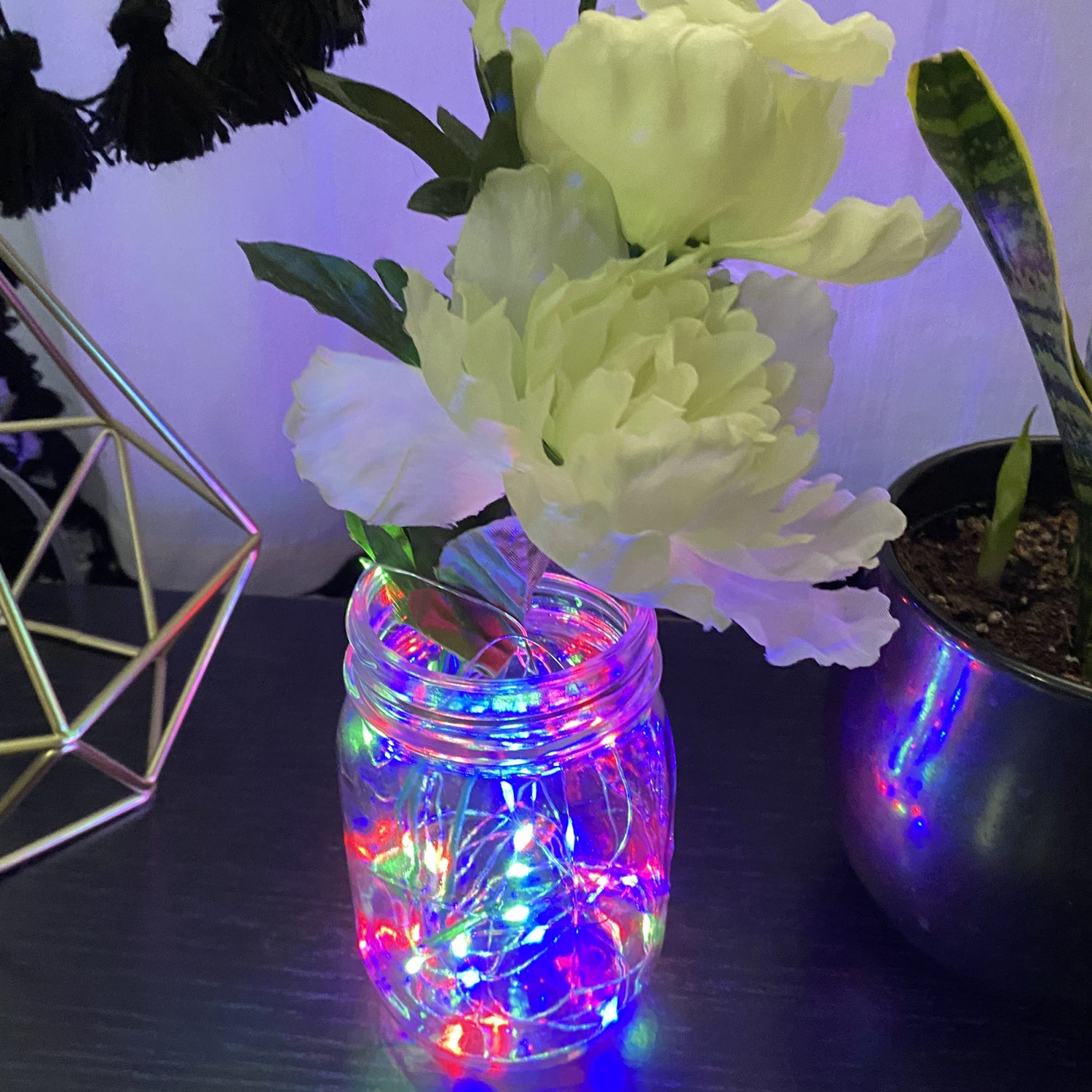 30 ft. Silver Wire RGB Fairy String Light
