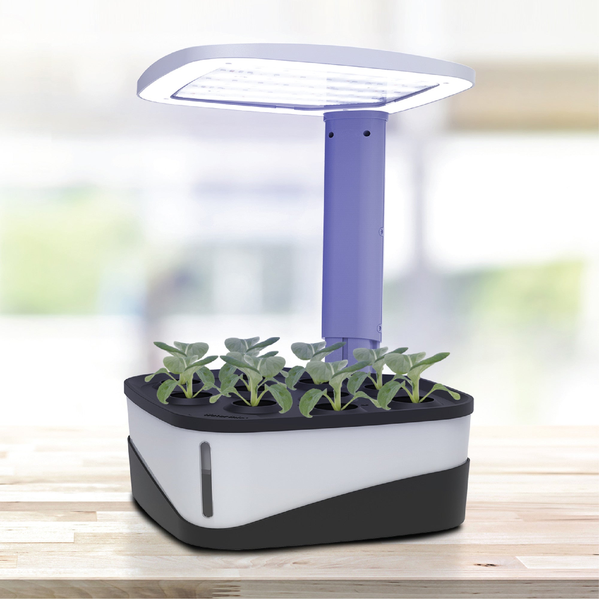 Table top clearance grow lamp