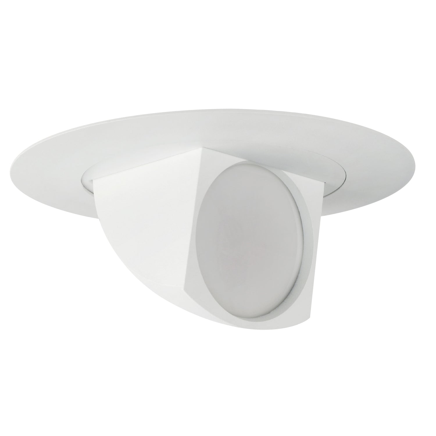 5/6 in. 11.3W (75W Replacement) Daylight (5000K) Adjustable Head LED Recessed Downlight