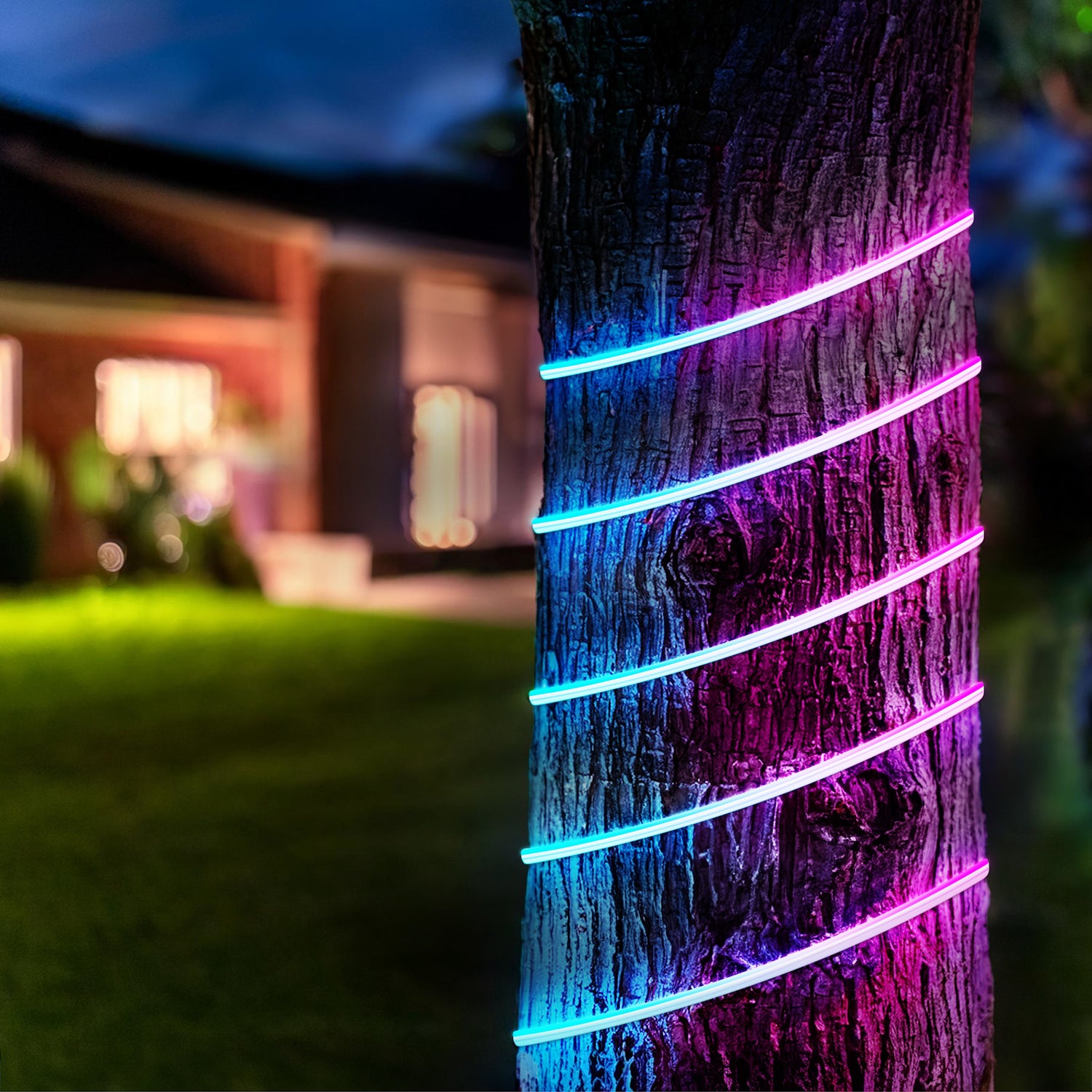 10-foot Smart Outdoor Neon Flex Light