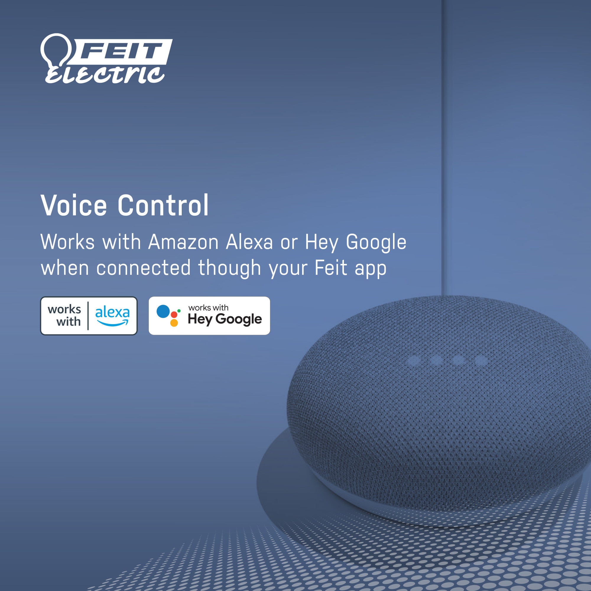 Feit shops google home