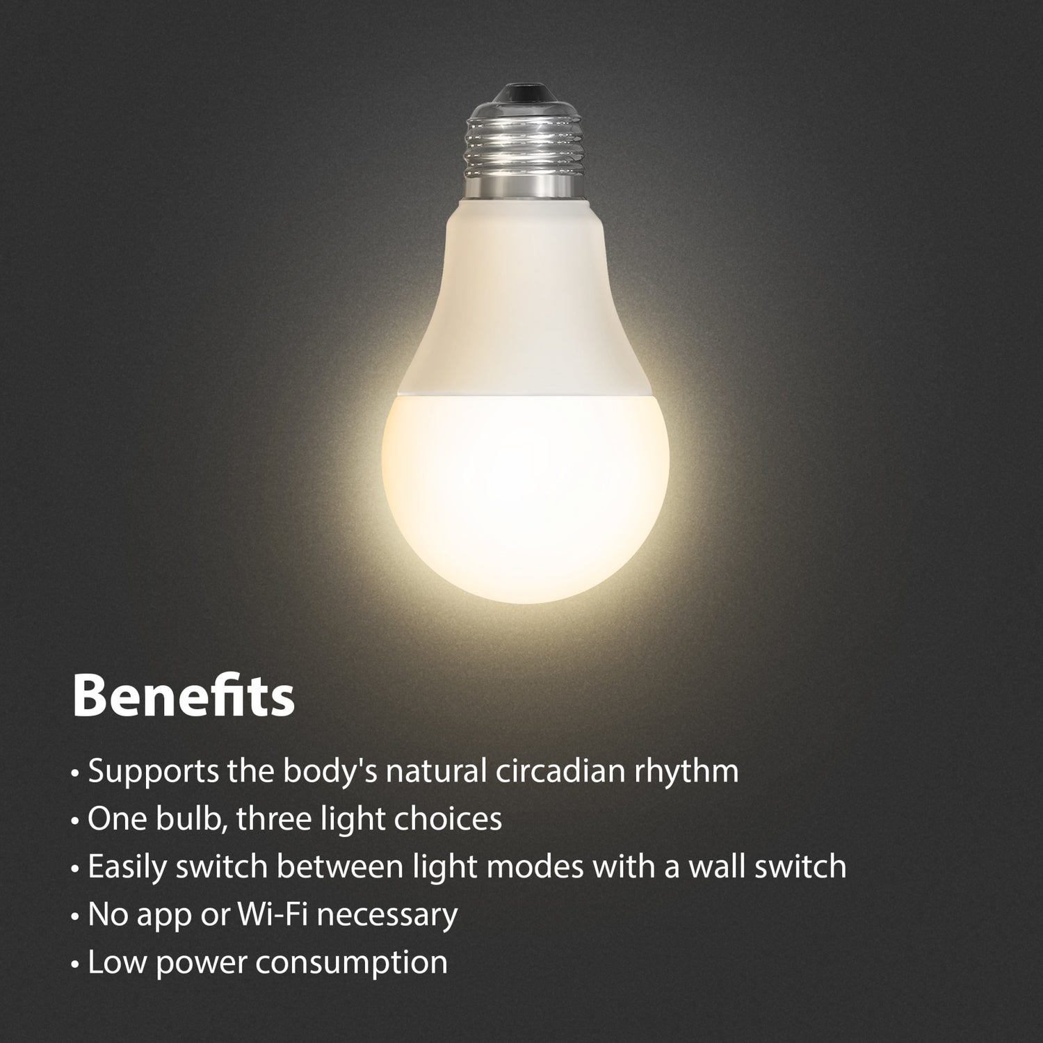 A19 Day & Night Circadian + Night Light LED Light Bulb