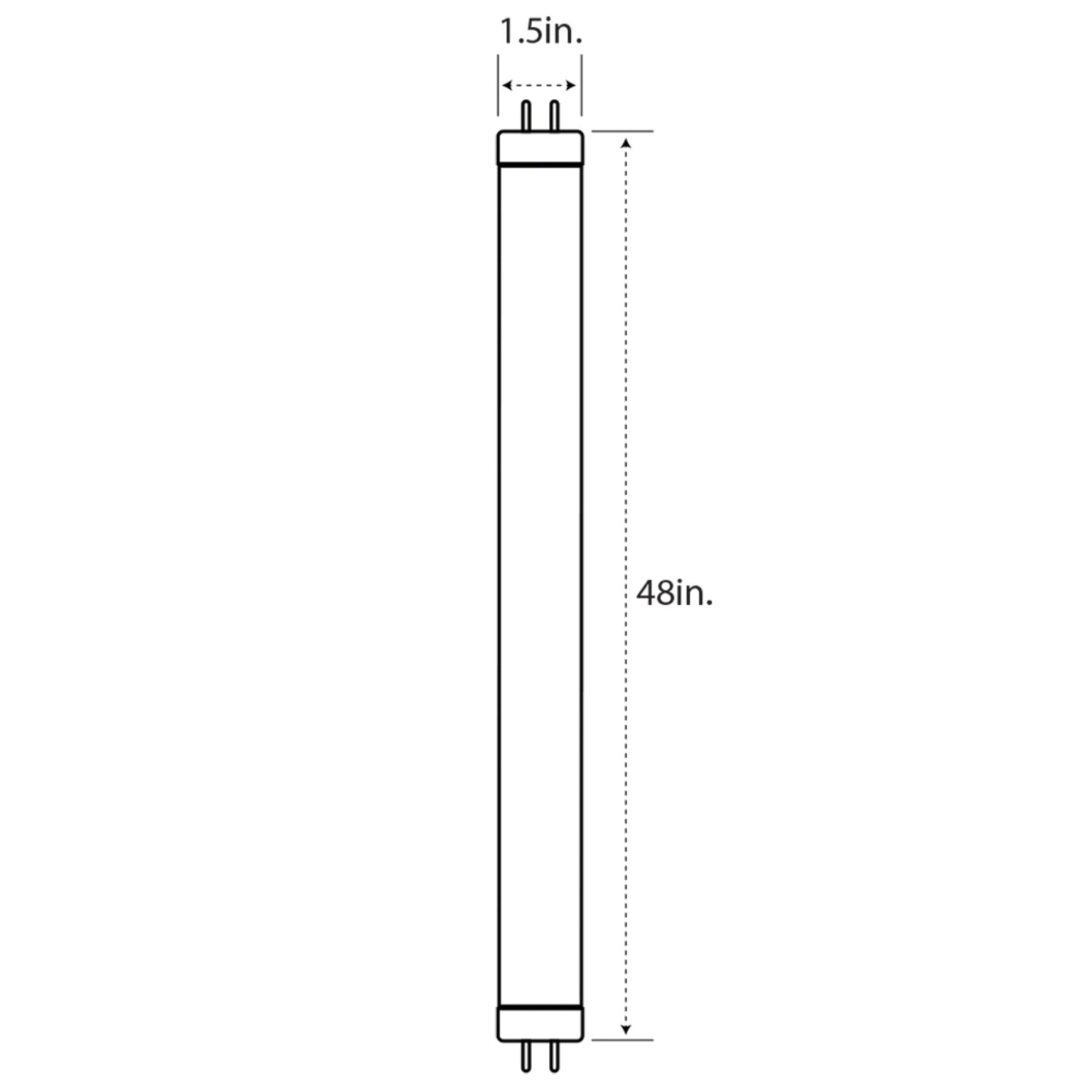 4 ft. 20W (40W Replacement) Daylight Deluxe (6500K) G13 Base Direct Replacement (Type A) (T12 Replacement) LED Linear Tube (2-Pack)