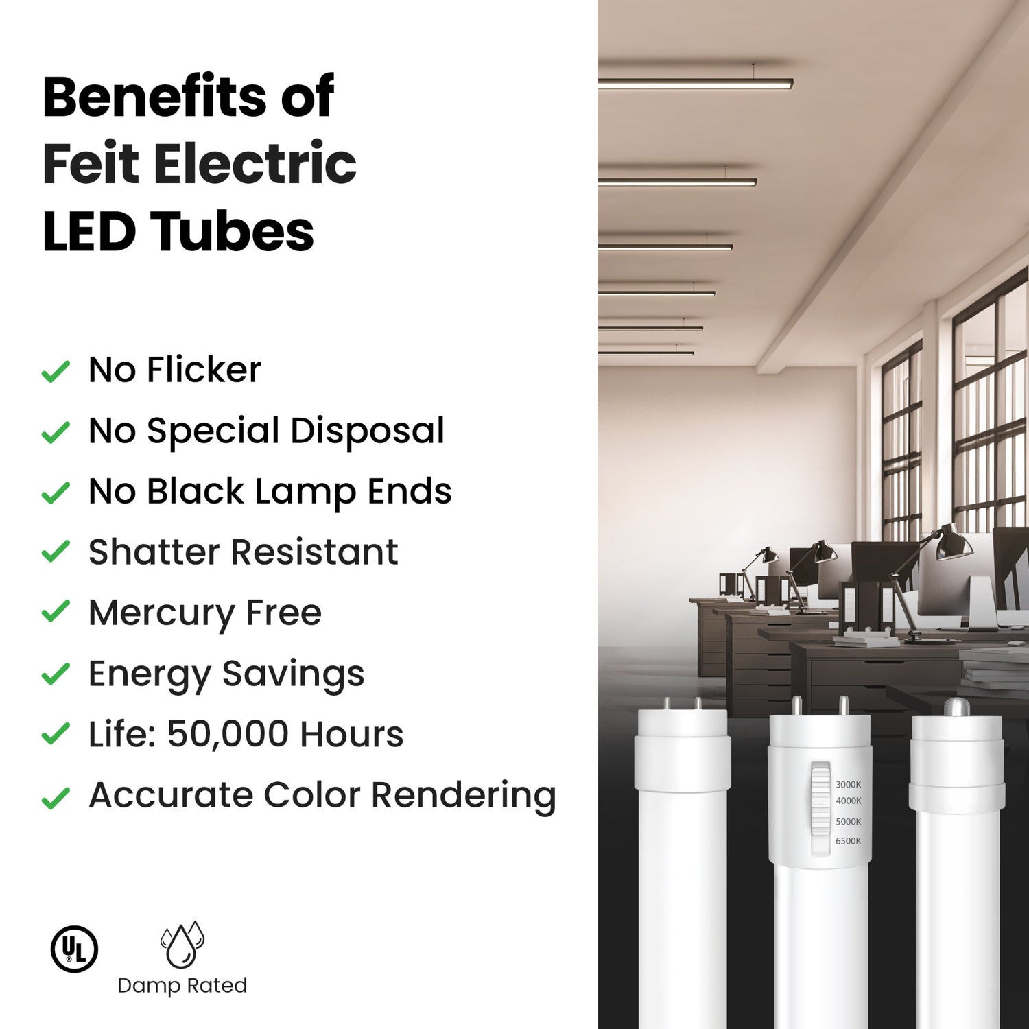 4 ft. 14W (40W Replacement) Daylight (5000K) G13 Base Direct Replacement (Type A) T8/T12 Plug & Play LED Tube