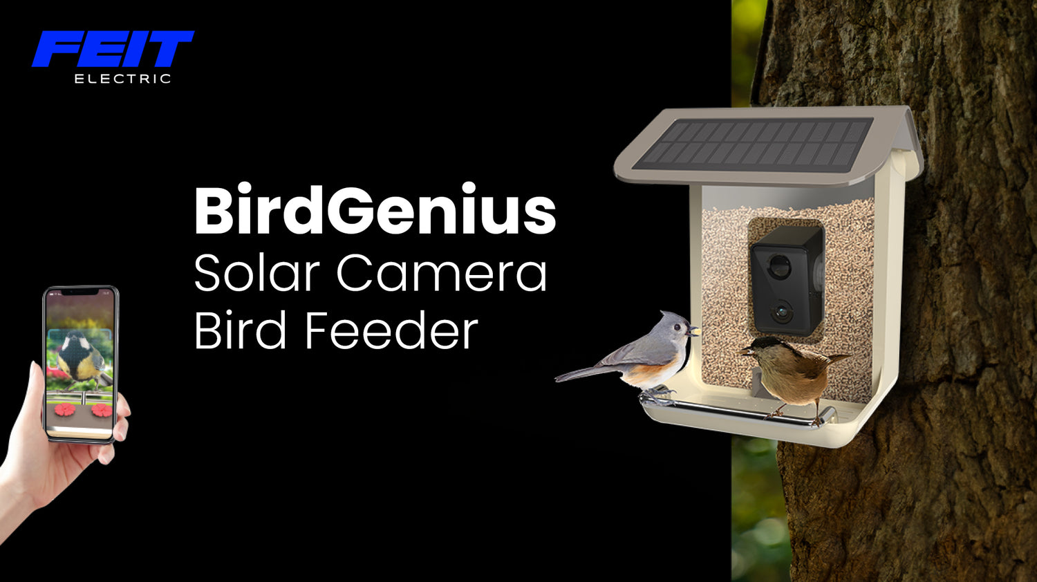 FEIT ELECTRIC Smart Camera Wild Bird 2.5 L Plastic Bird Feeder 1 ports